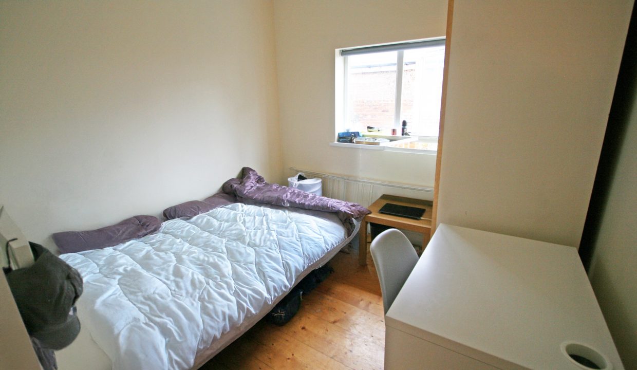 IMG_8350adjust---EditWEB