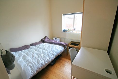 IMG_8350adjust---EditWEB